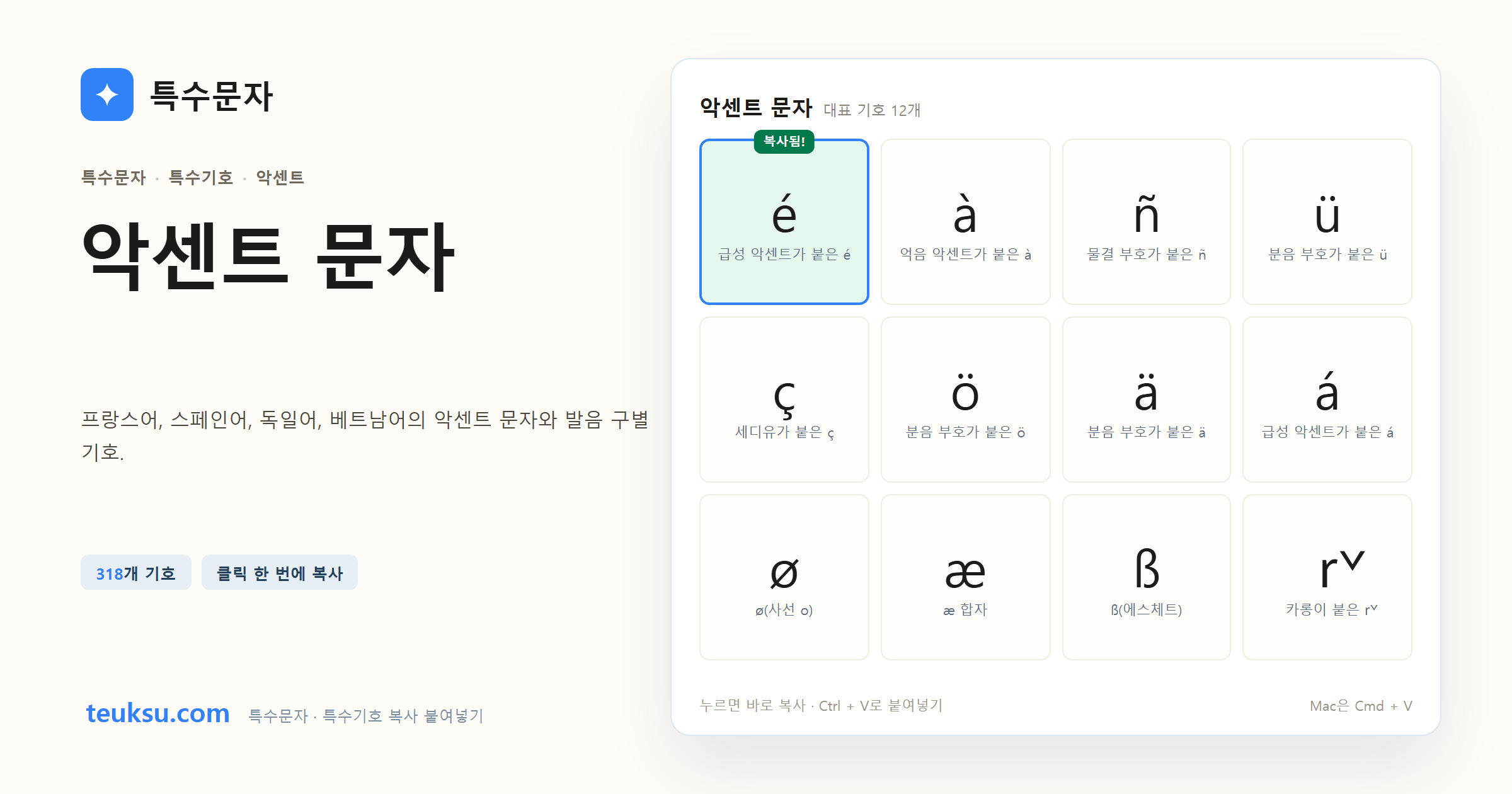 악센트 문자 대표 기호와 복사 예시 이미지